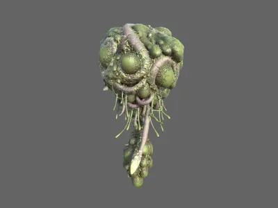Alien Brain Low-poly 3D model