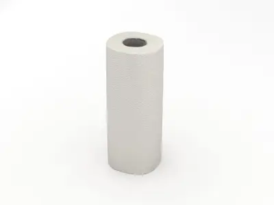 Paper Towel Roll 3D model