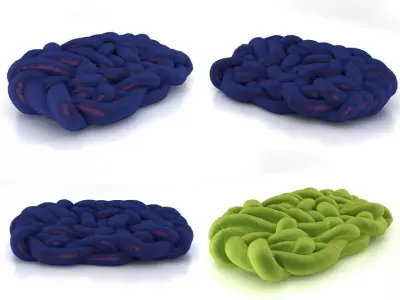 Boa brain made of different colored yarns 3D model