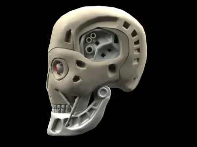 Terminator Head Skull  3D model