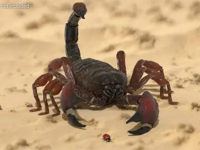  Hunting Scorpion Animated Rigged 