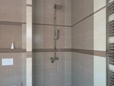 Wonderful shower  room 3D model