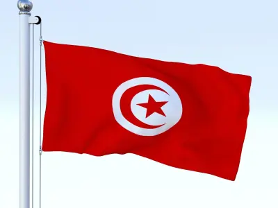 Animated Tunisia Flag Low-poly 3D model