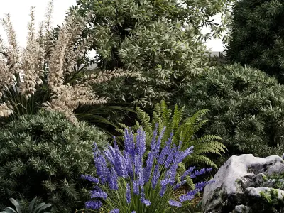 Outdoor Plant 32 3D model