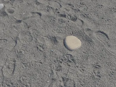 Sand Grey 1 Hq 3D model