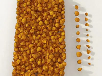 Pebble sea n3 3D model