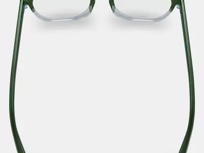 Abner Eyeglasses in Rosemary Crystal Fade Low-poly 3D model