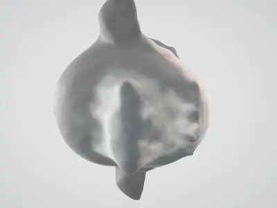 Head Roboko 3D model