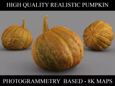 HIGH QUALITY REALISTIC PUMPKIN 8K MAPS 3D model