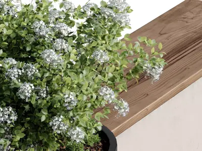 Bench with Plants - Urban Furniture 07 3D model