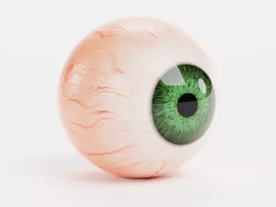 Human Eyeball with Green Iris - Realistic Anatomy 3D model