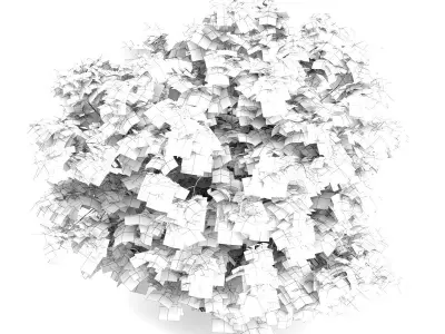 Japanese Maple Acer Palmatum 3D model