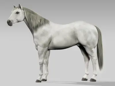  Horses Bundle (Animated) (Fur) 