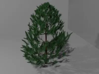Pine Tree 2 3D model
