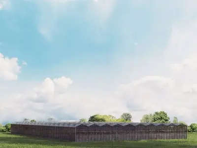 greenhouse 30 am 146 3D model