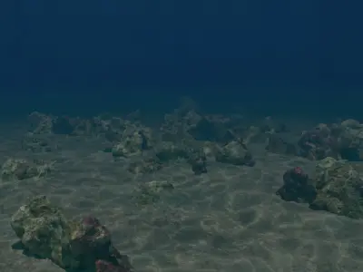  Sea Floor 