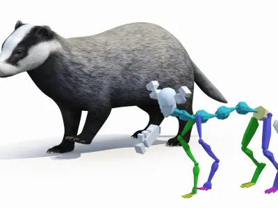  European Badger Grey Rigged 