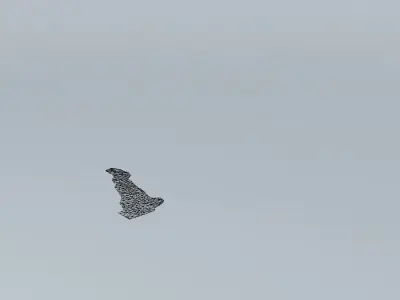 Contemporary Wall Lights Free 3D model