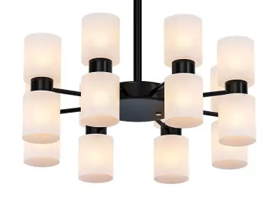 Black Coated 3D model