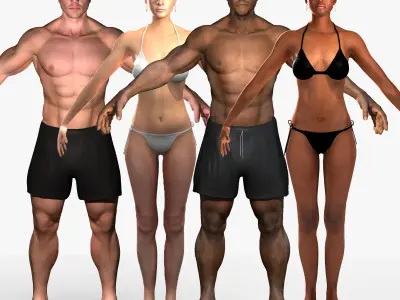 Humand Body Collection Rigged 3D model