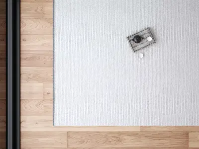 Elsa Rug 3D model