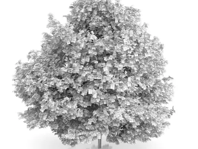 Common Hazel Tree Corylus avellana 3D model