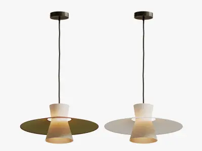 Fly pendant lamp 3D model