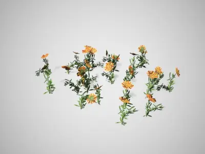 Marigold flower Low-poly 3D model