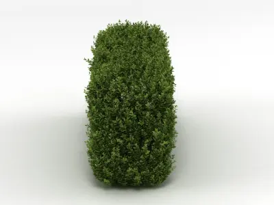 Hedge 3D model