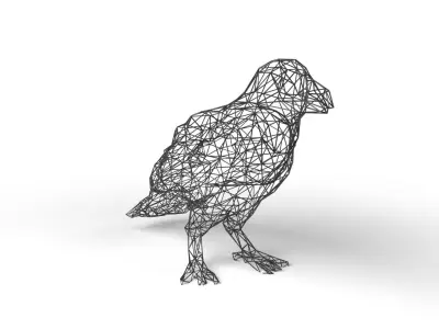 Crow Wireframe Low-poly 3D model