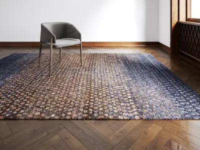 Circlism C22 Rug 3D model