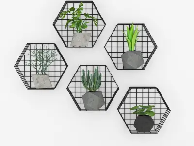 Plants Wall 3D model