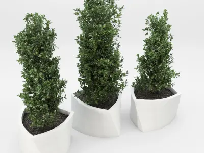 BILBAO three planters 3D model
