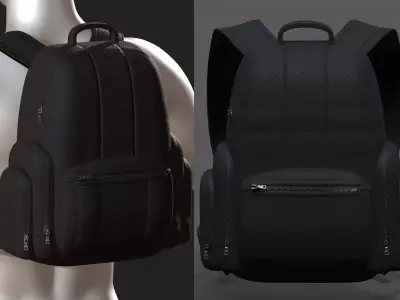 Backpack bag baggage Color 3d low poly Low-poly Low-poly 3D model