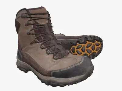  Hiking Shoe 