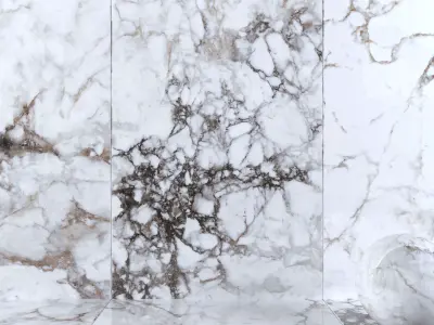 Wall Tiles Museum Breccia 160x320 Set 2 Texture