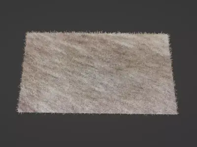 Carpet-Rug piece of wool Low-poly 3D model