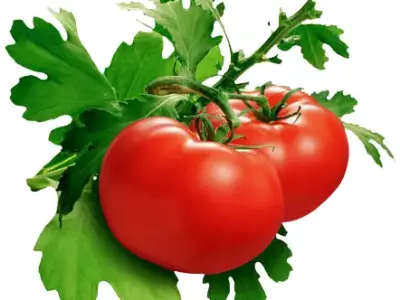 treevvvv two tomatoes 3D model