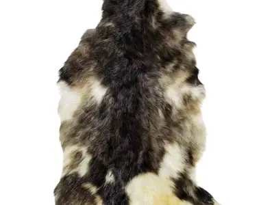 Sheepskin skin 3D model