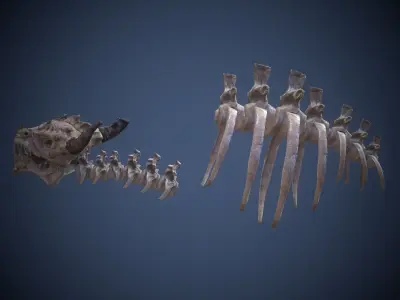 Skeleton dragon Low-poly 3D model