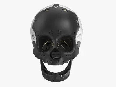 Artificial Skull 3D model