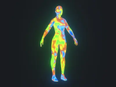 Human Thermal Image Heatmap Male and Female 3D Model Low-poly 3D model