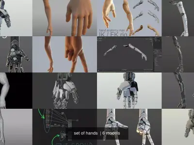 set of hands  3D Model Pack