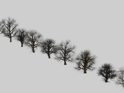 animation winter forest ver-1-0 3D model