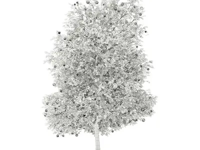 Grapefruit Tree with Fruits 3D model