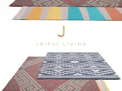 Jaipur Living Rug Set 6 3D model