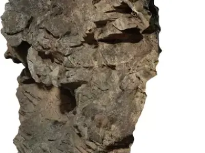 Vertical Cliff Rock Panel Low-poly 3D model