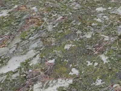 Moss Rock 3D model