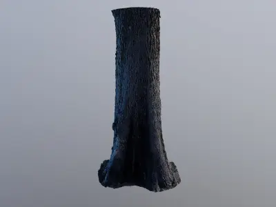 treebark04 tree trunk 3D model