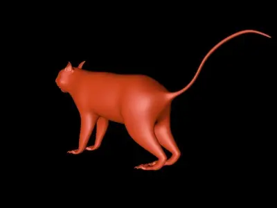 Squirrel 3D Model cat 3D model